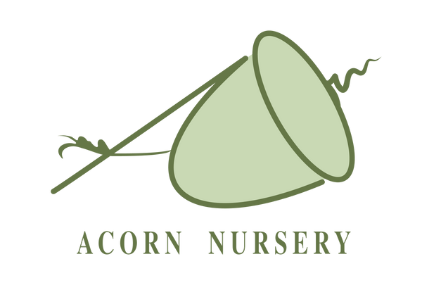 Acorn Nursery