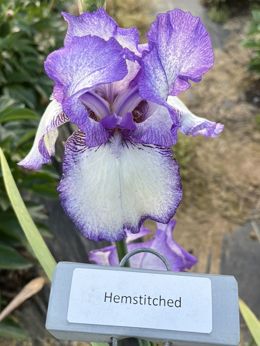 Hemstitched (Re)