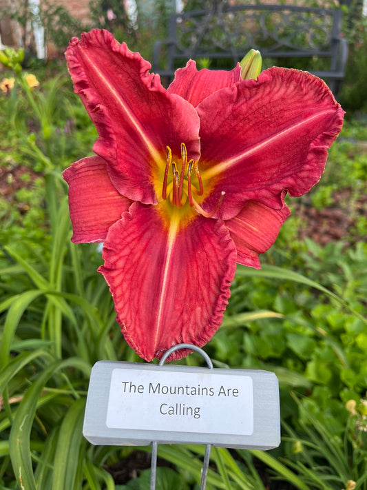 The Mountains Are Calling