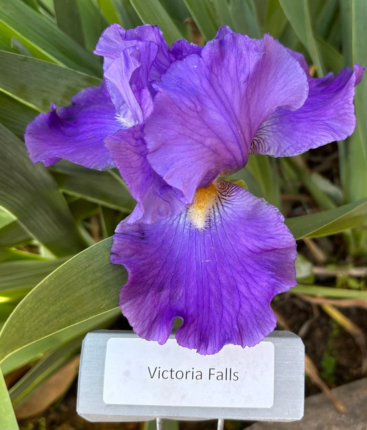 Victoria Falls (Re)